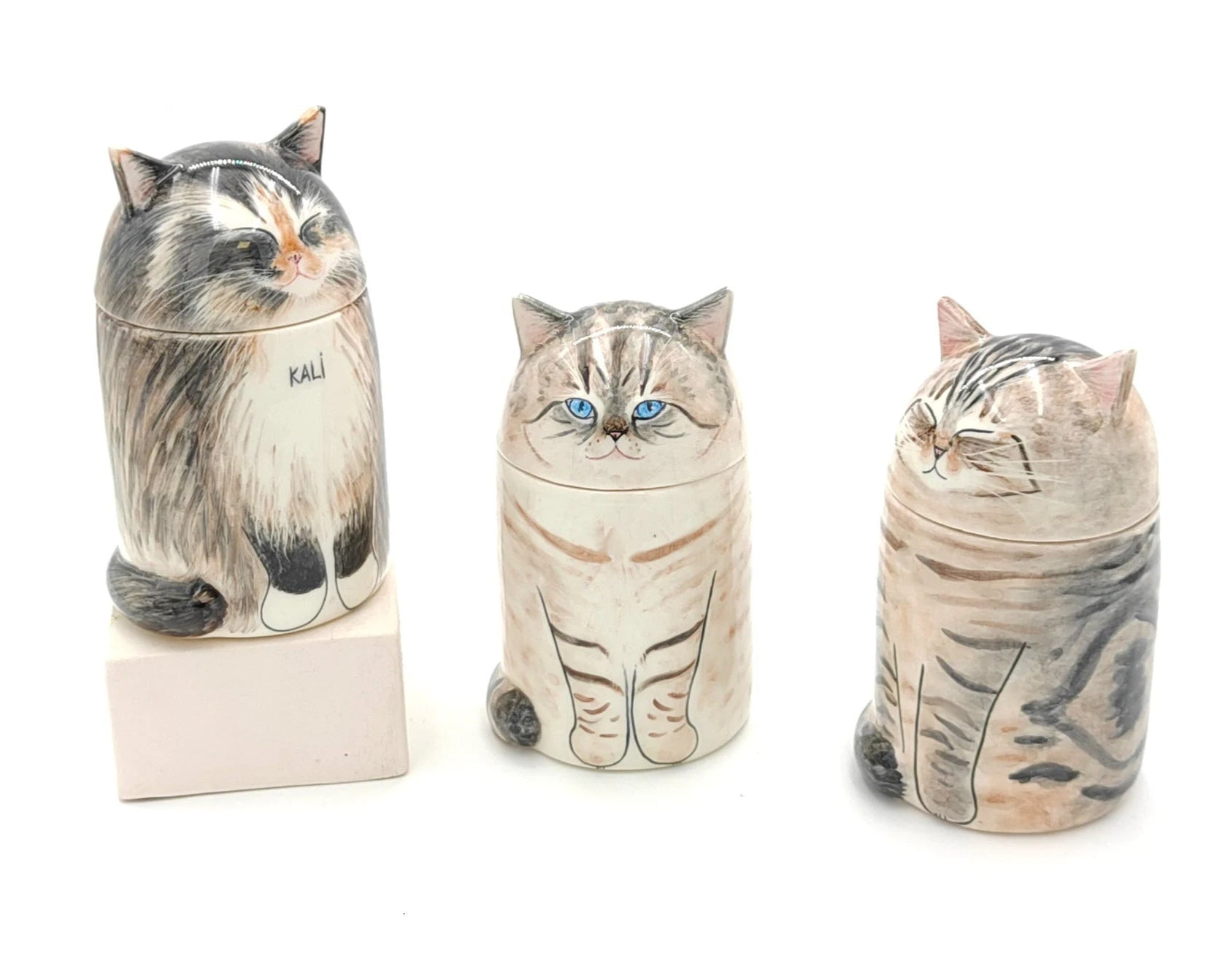 Forever Family Personalized Cat Urns with Dome Lid - Custom Memorial Boxes
