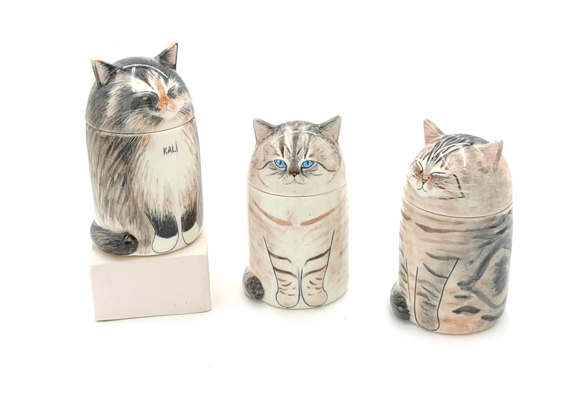 Sleep peacefully: Personalized cat urn with tranquil dome lid, forever family