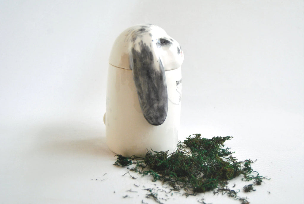 Eternal Companion Personalized Dome Lid Pet Urn - Custom Memorial Box